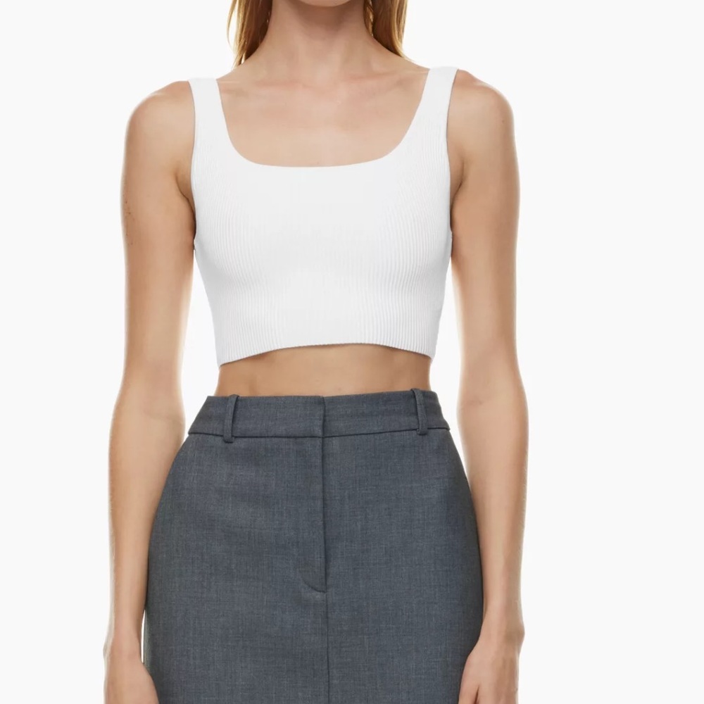 Aritzia Babaton Tank